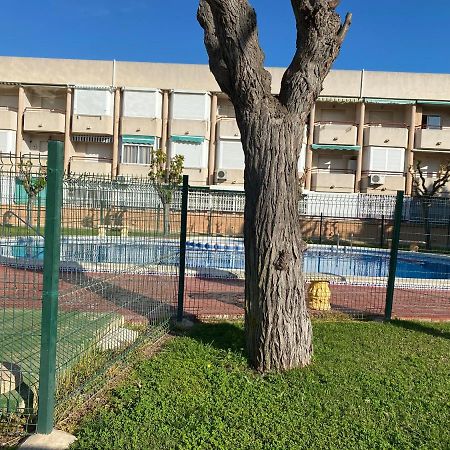 Apartamento Mil Palmeras Pilar de la Horadada Extérieur photo