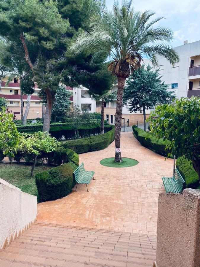 Apartamento Mil Palmeras Pilar de la Horadada Extérieur photo